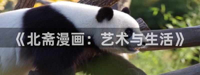 歪歪漫画sss永久入口